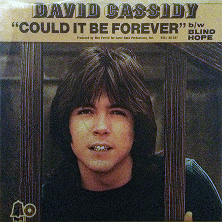David Cassidy : Could It Be Forever